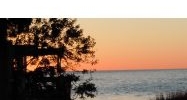 2437 SUNSET VISTA DR Aripeka, FL 34679 - Image 10224619
