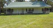 4028 County Road 4 Black, AL 36314 - Image 10227392