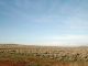 Tract 83 B Medicine Bow, WY 82329 - Image 10233437