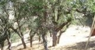 Mustang Dr, lot 122A Tehachapi, CA 93561 - Image 10235207