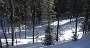 36 Rivershore Dr 1 Breckenridge, CO 80424 - Image 10245683