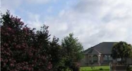 3421 TALLWOOD DR Deltona, FL 32738 - Image 10253285
