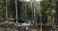 431 Cottonwood Lake Dr. Divide, CO 80814 - Image 10254656