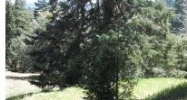 21861 Bone Cedarpines Park, CA 92322 - Image 10268334