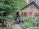1652 & 1650 Portola State Park Rd La Honda, CA 94020 - Image 10277850