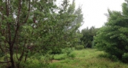 VACANT LAN 45th St Summerland Key, FL 33042 - Image 10284591