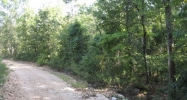 1 MOONLIGHT RD Mammoth Spring, AR 72554 - Image 10307129