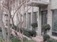6345a Diamond Head Circle Dallas, TX 75225 - Image 10332907