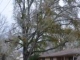 124 Montgomery St Elkhart, TX 75839 - Image 10334232