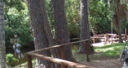 2341 MAIN ST Leesburg, FL 34788 - Image 10343026