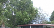 2338 MAIN ST Leesburg, FL 34788 - Image 10343027