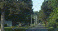 24 Pleasant St Cabot, AR 72023 - Image 10351493