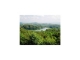 222 Beaver Cove Road Turtletown, TN 37391 - Image 10367322