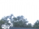 2078 S Highway 129 Stockton, GA 31649 - Image 10375233