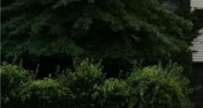 1357 W 4th St Plainfield, NJ 07063 - Image 10398423