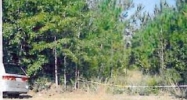 0 Hwy 204 Ellabell, GA 31308 - Image 10403666
