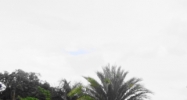 1516 Coral Ridge Drive Fort Lauderdale, FL 33304 - Image 10404020