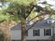 84 Bluebird Ln Hallsboro, NC 28442 - Image 10416303