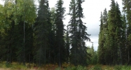 L6 Opengate Court Sterling, AK 99672 - Image 10428308