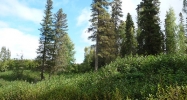 L1 Opengate Court Sterling, AK 99672 - Image 10428311