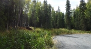 L4 Opengate Court Sterling, AK 99672 - Image 10428313