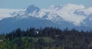 000 Crossman Ridge Homer, AK 99603 - Image 10428966