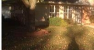 350 Miami St Park Forest, IL 60466 - Image 10430494