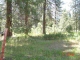 6772 BUCKS LAKE ROAD Meadow Valley, CA 95956 - Image 10431089