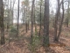 750 Azalea Drive Vass, NC 28394 - Image 10452139