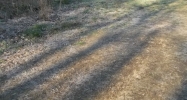 Co Rd 1663 Cullman, AL 35058 - Image 10479667