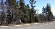 3564 Greatland Homer, AK 99603 - Image 10492364
