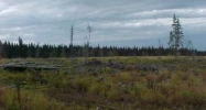 L49 Stacey Lane Homer, AK 99603 - Image 10510500