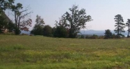 Lot 37 Swiss Mountain Drive Dr Mountain Home, AR 72653 - Image 10520823