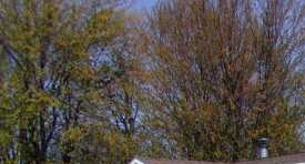 3399 Chatham Lane - Image 10560896