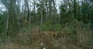 4451 Dauphin Island Pkwy Mobile, AL 36605 - Image 10562396
