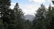 31496 Kings Valley Conifer, CO 80433 - Image 10574673