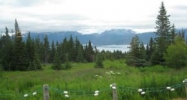 50375 E End Road Homer, AK 99603 - Image 10587070