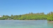 85309 Old Hwy Islamorada, FL 33036 - Image 10596617