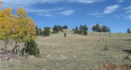 Lot 50 County 88 Rd Guffey, CO 80820 - Image 10609325