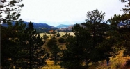 655 Coyote Dr Guffey, CO 80820 - Image 10609327