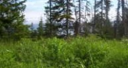 50855 Mtn Glacier Court Homer, AK 99603 - Image 10625937