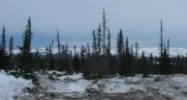L9 B16 Snowshoe Road Homer, AK 99603 - Image 10625938