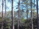 Lake Pointe Circle Greenwood, SC 29646 - Image 10668398