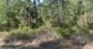 1305 Williams Ave Lehigh Acres, FL 33972 - Image 10678717
