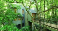 3036 Wellington Court Se Atlanta, GA 30339 - Image 10685846