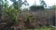 912 Roosevelt Ave Lehigh Acres, FL 33972 - Image 10697295