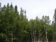 L11 B1 Silverspring Lane Nikiski, AK 99635 - Image 10721987