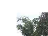 250 NW 108 TE - Image 10739766