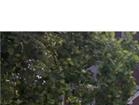 35 Eton Pl - Image 10751430
