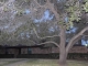 5871 W Haven Drive Fort Worth, TX 76132 - Image 10778720